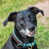 modernmimi4